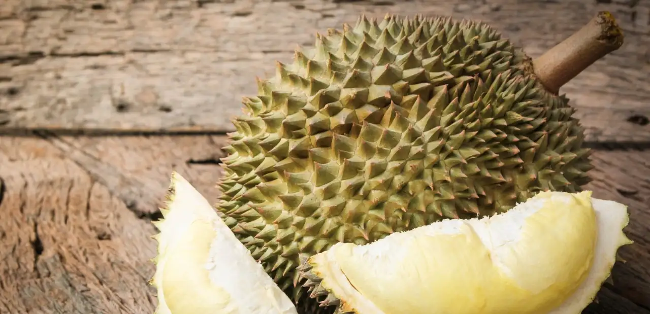 Durian