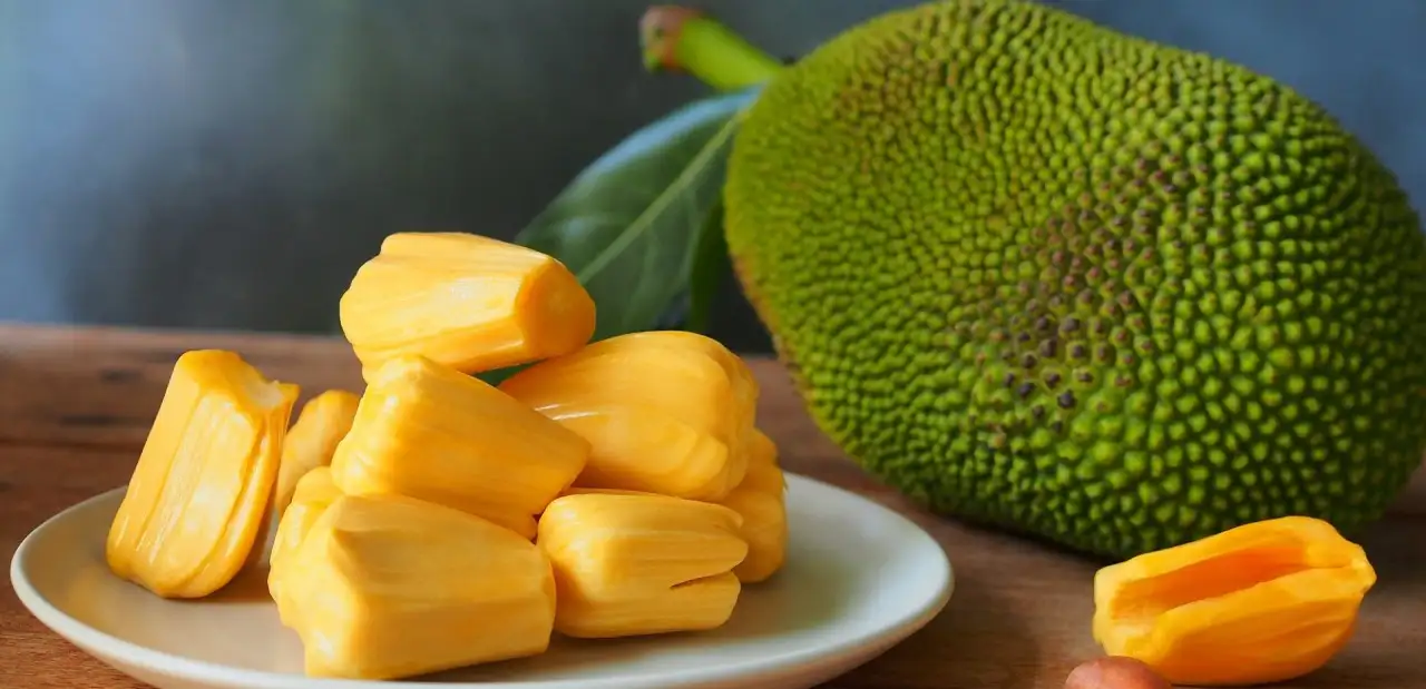 Jackfruit