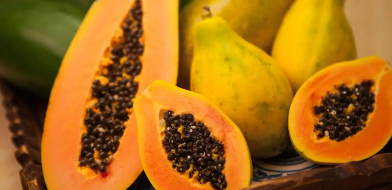 Papaya