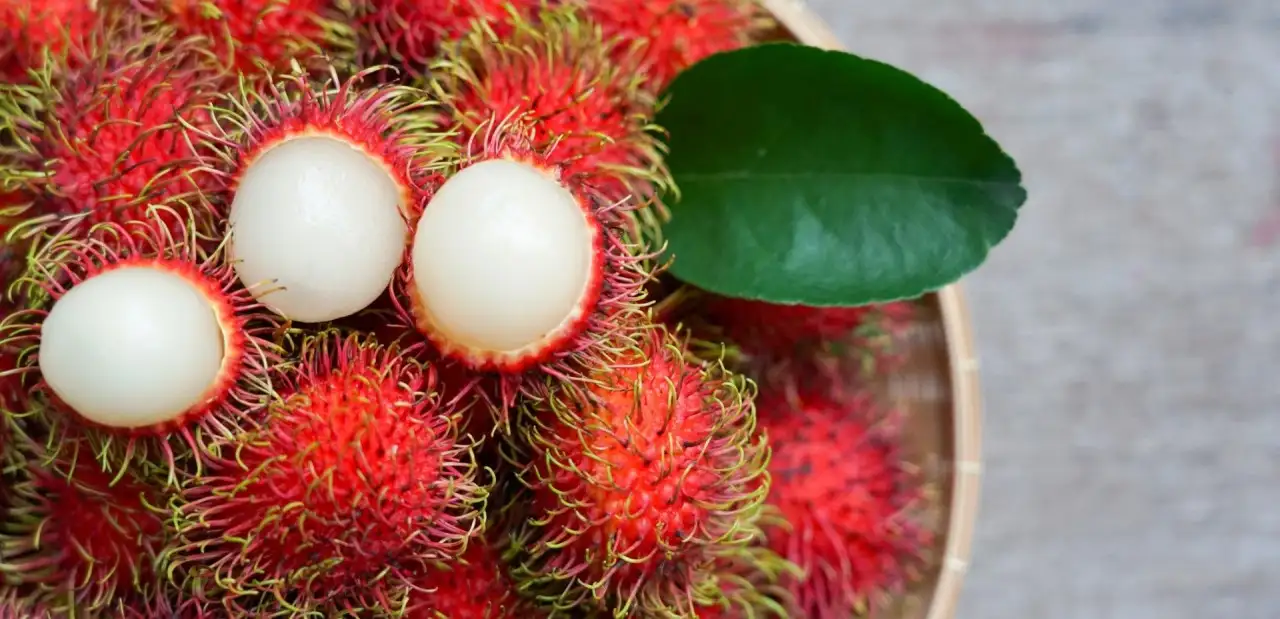 Rambutan