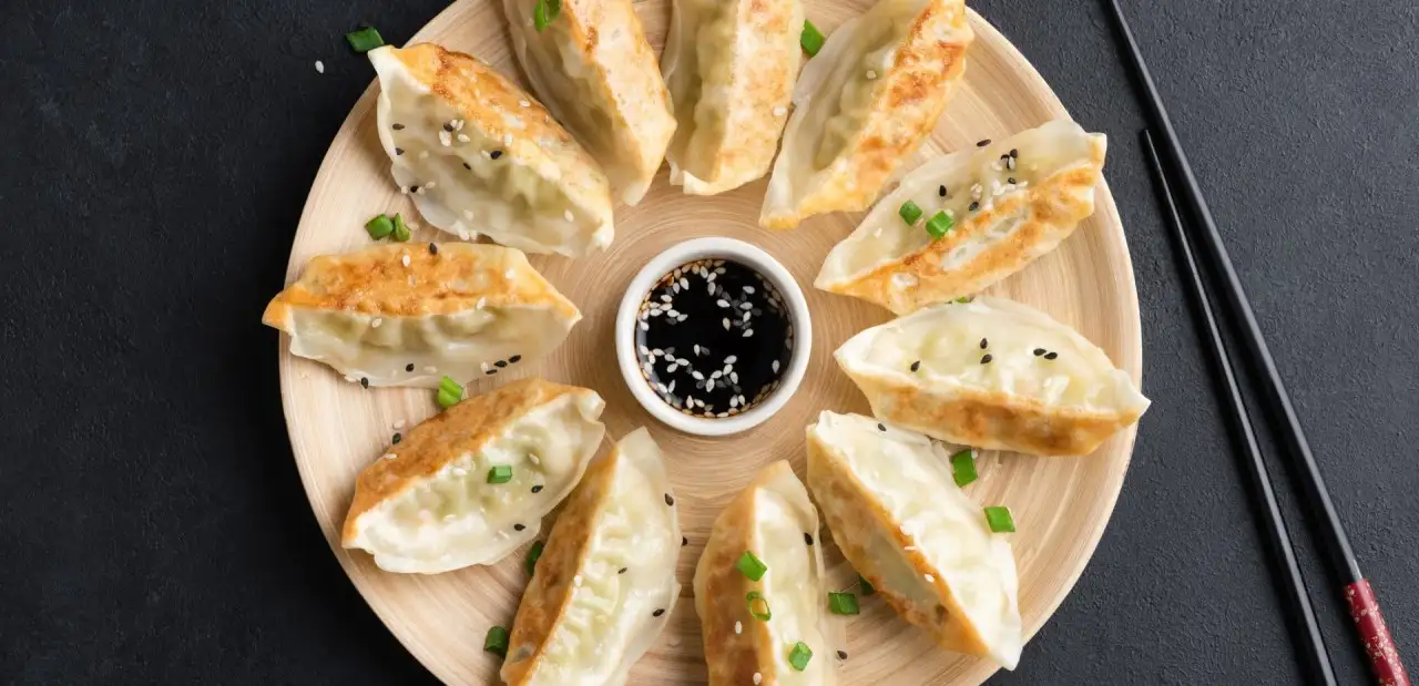 Vejetaryen Gyoza